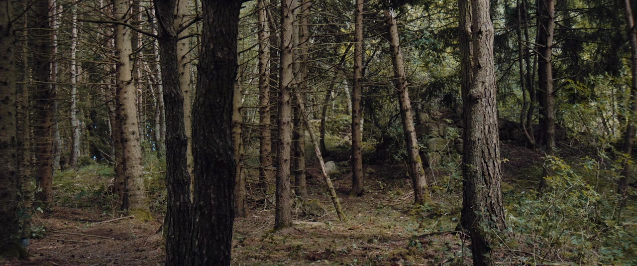 The Porter Brothers screenshot 1