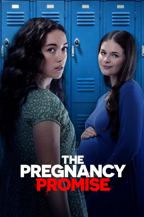 The Pregnancy Promise (2023) poster