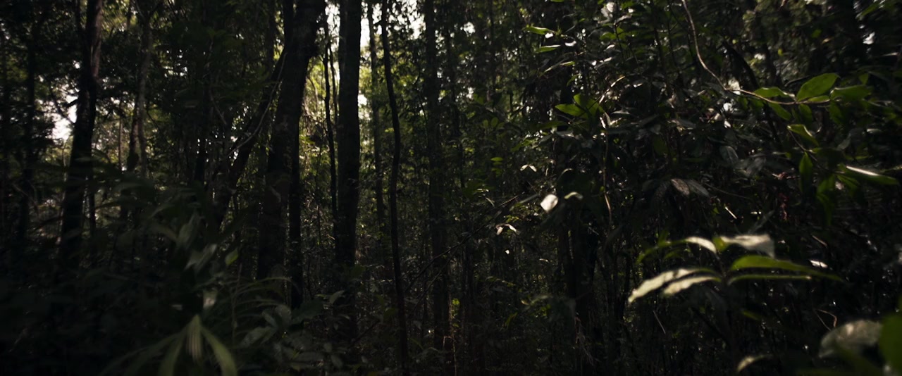 The Prey screenshot 1