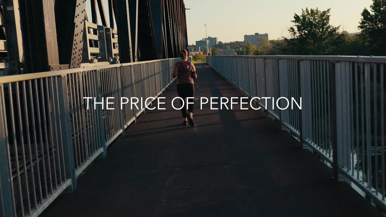 The Price of Perfection screenshot 2