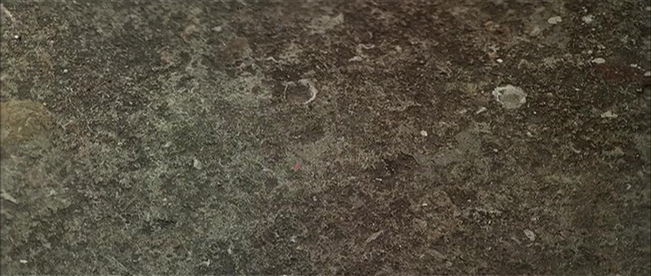 Ban jin ba liang screenshot 1