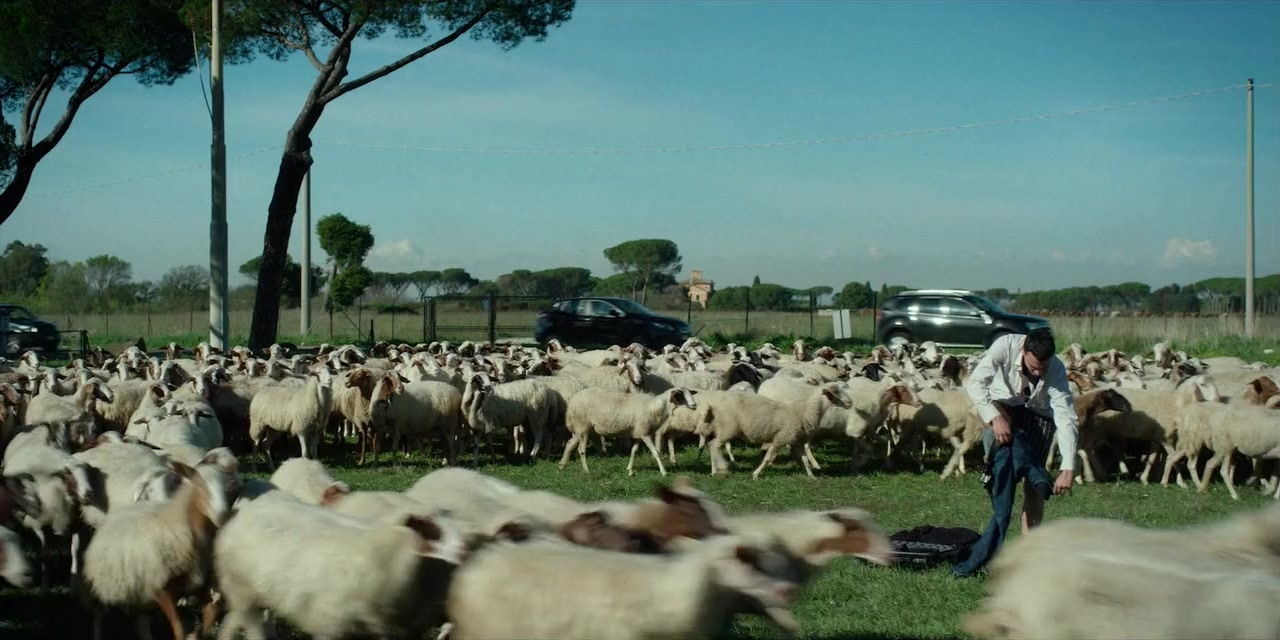 La profezia dell'armadillo screenshot 1