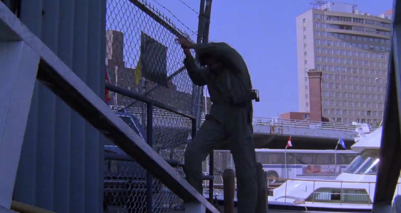 The Protector screenshot 1