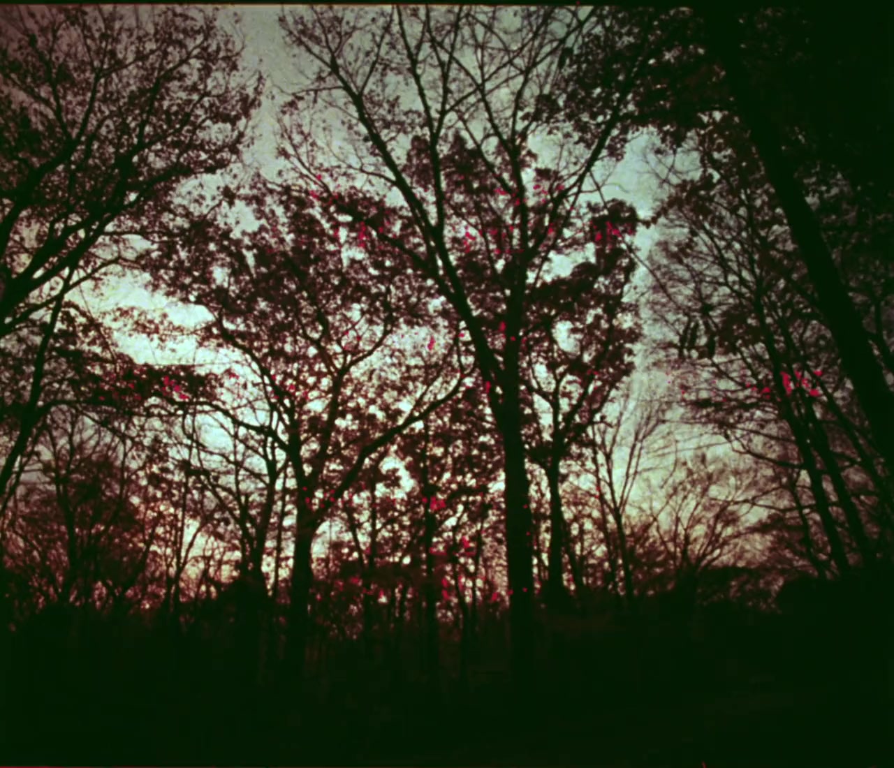 The Psychotronic Man screenshot 1