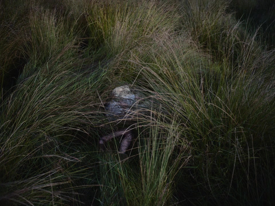 An Cailín Ciúin screenshot 1
