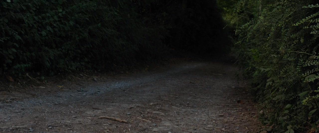 The Quiet Hour screenshot 2