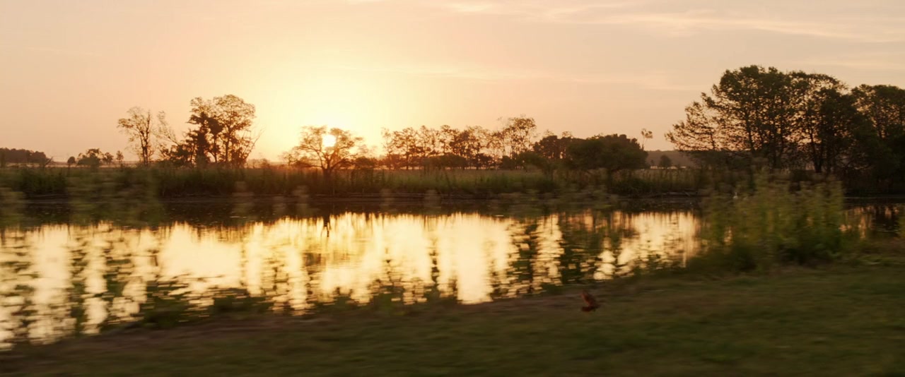 La quietud screenshot 1