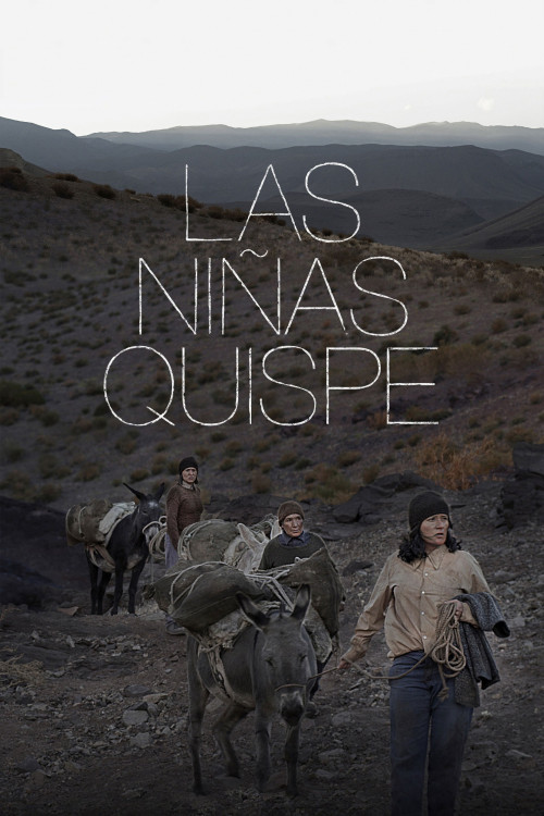 Las Niñas Quispe (2013) poster