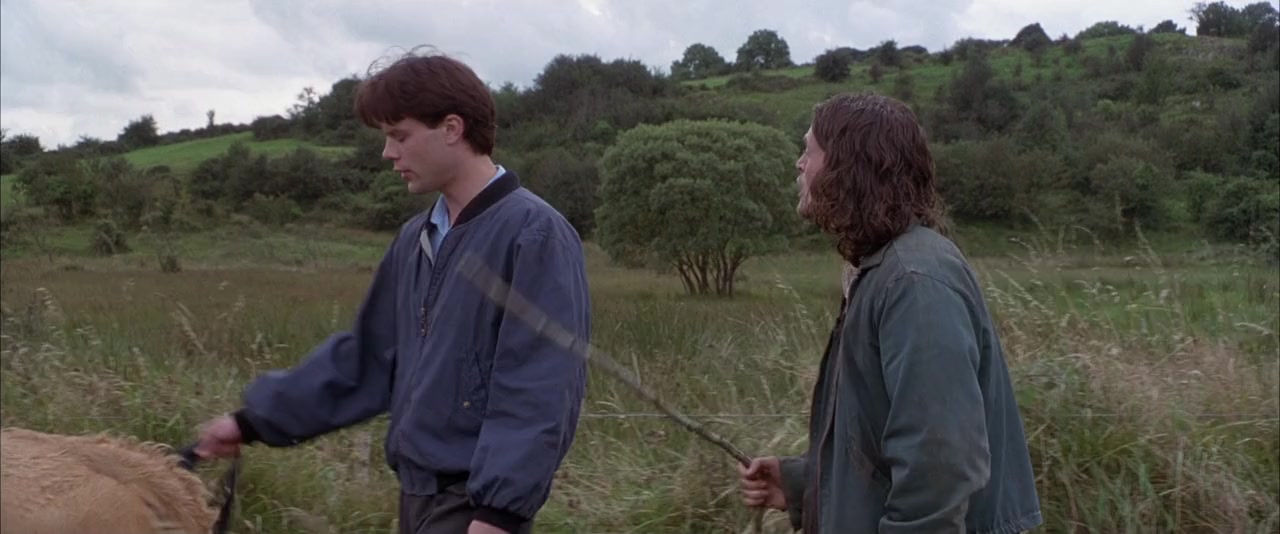 The Run of the Country screenshot 3