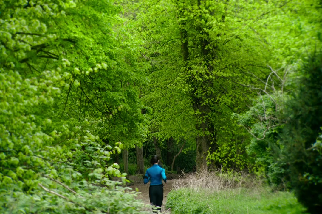 The Runner screenshot 2