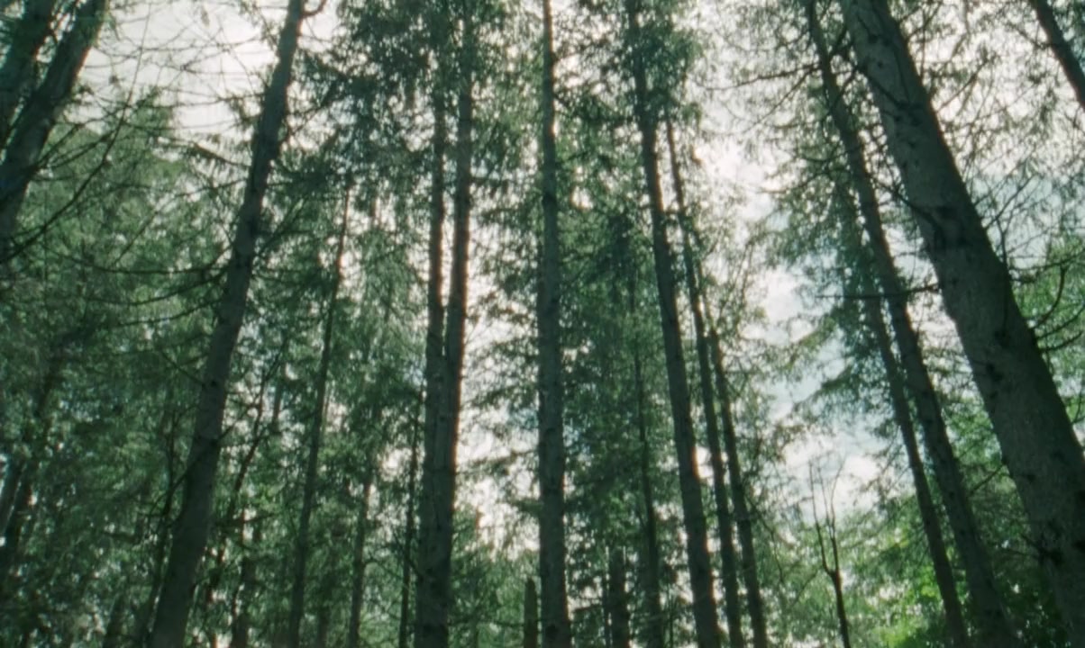 The Runners screenshot 2