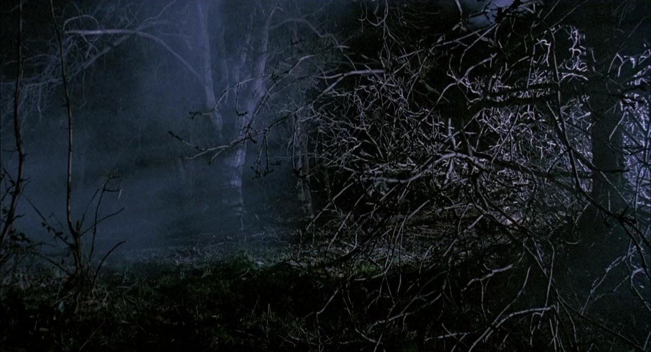 The Raggedy Rawney screenshot 2