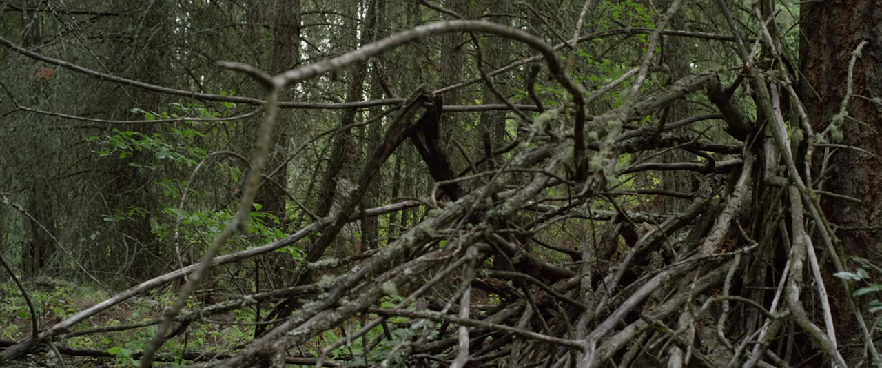 The Recall screenshot 1