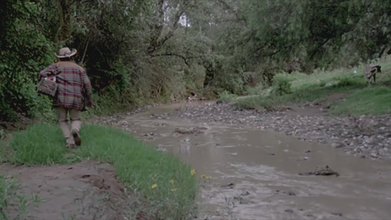 El imperio de la fortuna screenshot 1