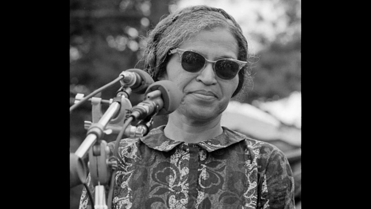 The Rebellious Life of Mrs. Rosa Parks screenshot 3