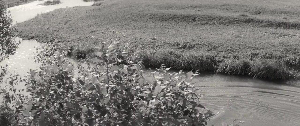 Csillagosok, katonák screenshot 1