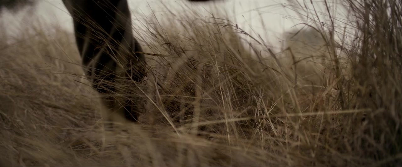 The Red Book Ritual screenshot 1