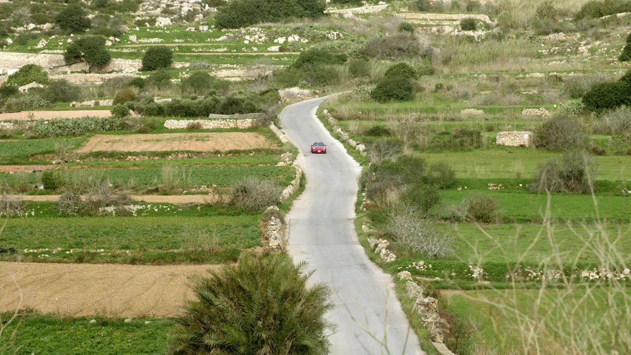The Red Dress screenshot 1