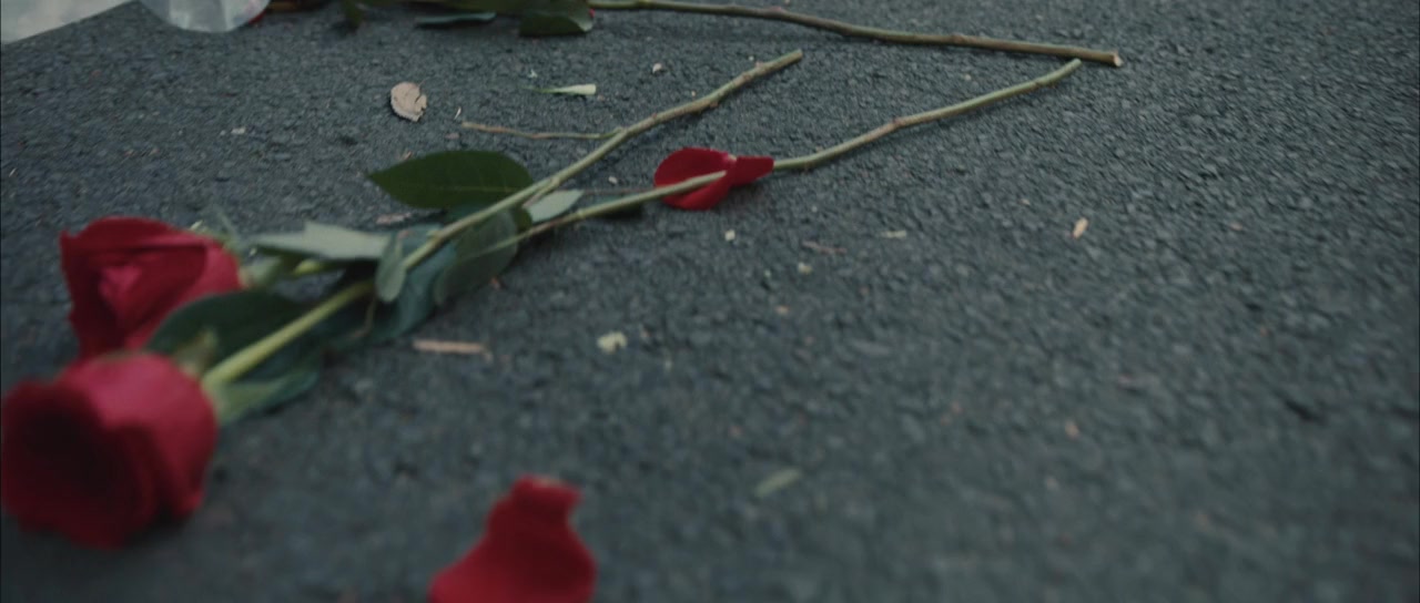 The Red Shoes: Next Step screenshot 2