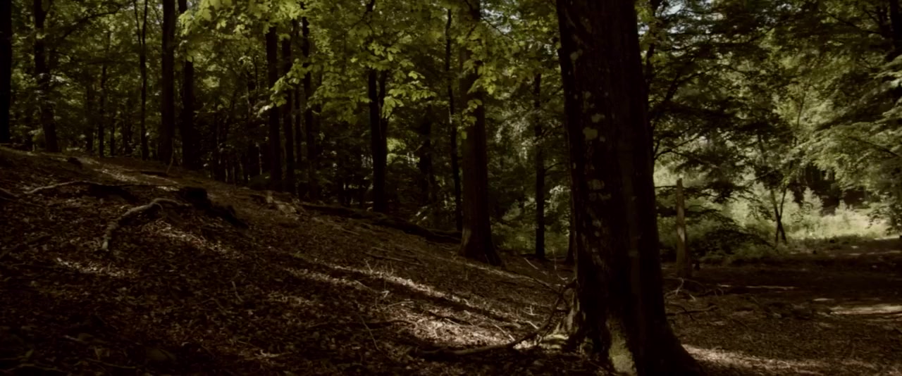 The Redneg screenshot 1