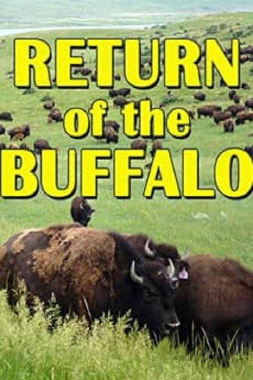 The Return of the Buffalo: Restoring the Great American Prairie (2008) poster