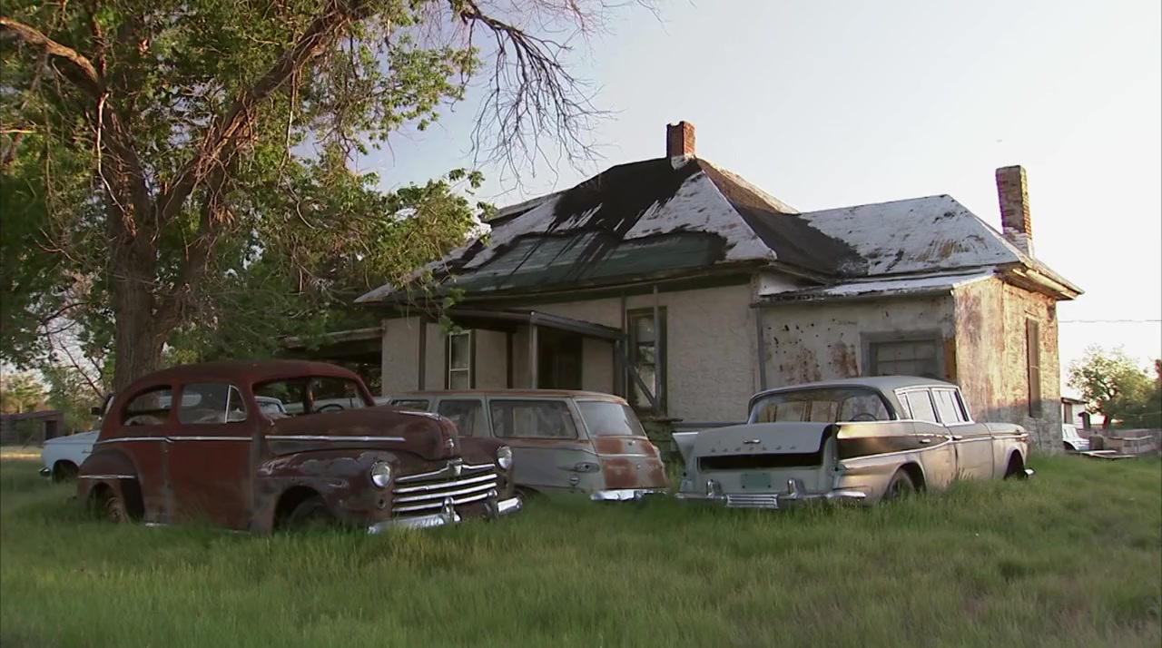 The Return of the Buffalo: Restoring the Great American Prairie screenshot 3