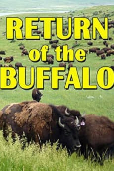The Return of the Buffalo: Restoring the Great American Prairie (2008) poster