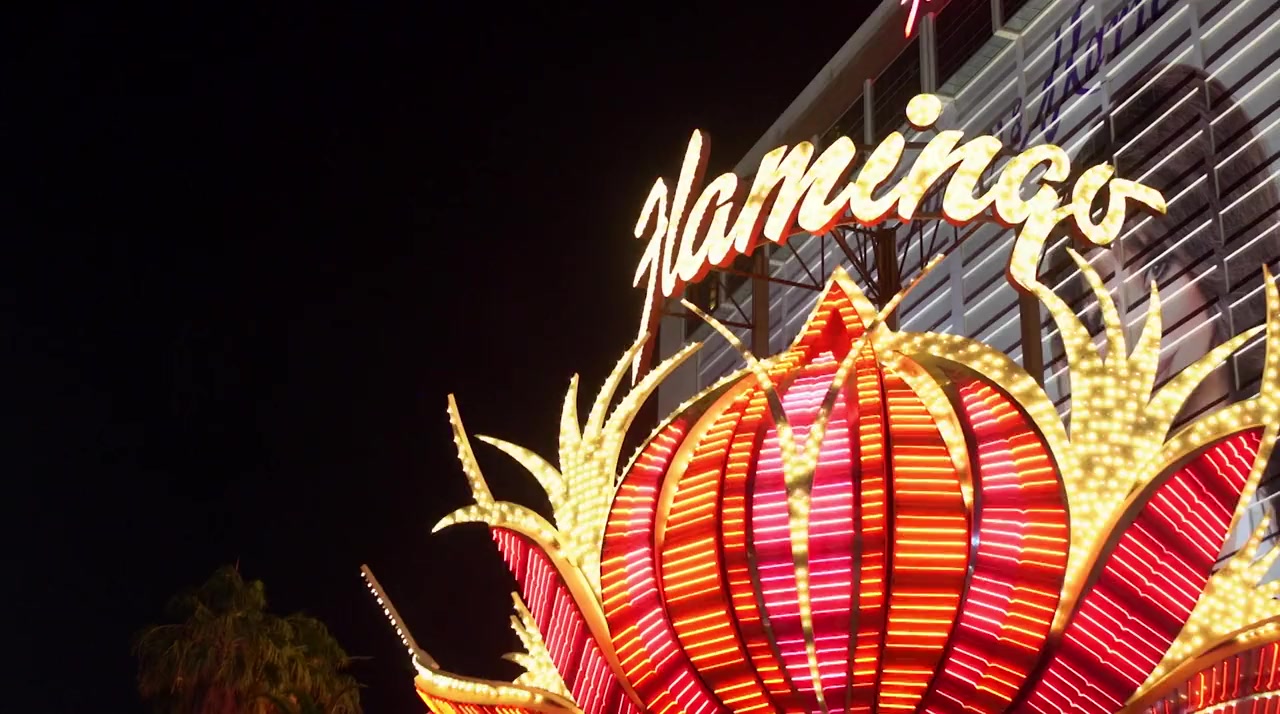 The Ringmaster screenshot 2