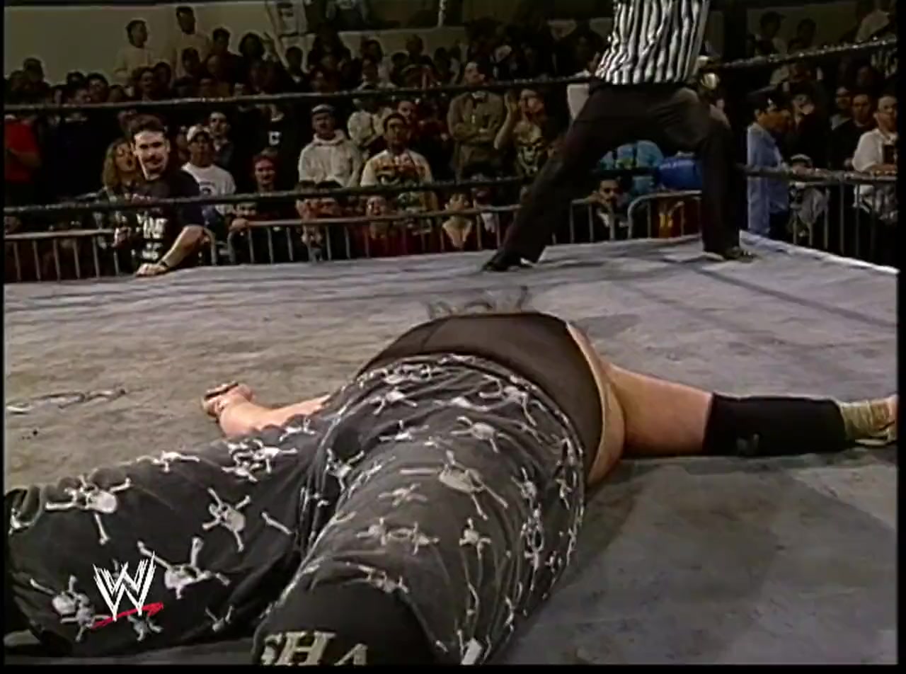 The Rise & Fall of ECW screenshot 1