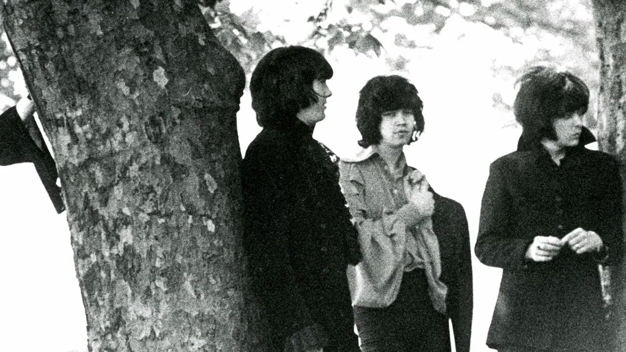 The Ritchie Blackmore Story screenshot 3