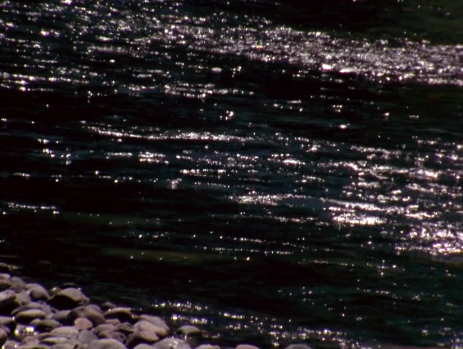 The River Ran Red screenshot 2