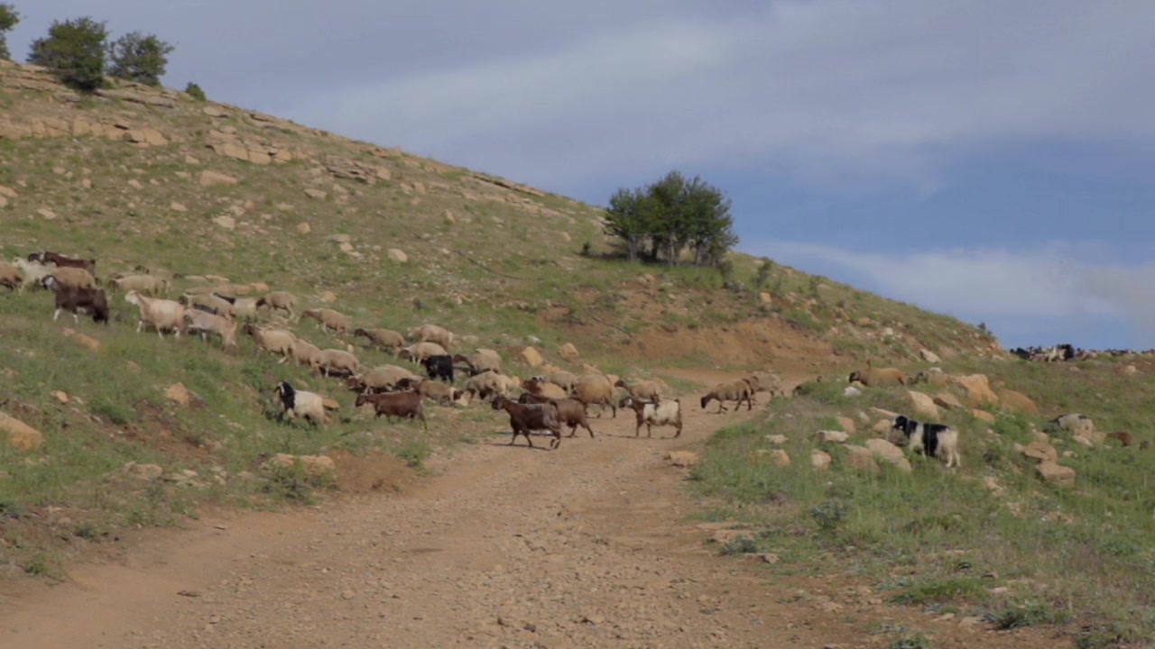 The Road screenshot 3