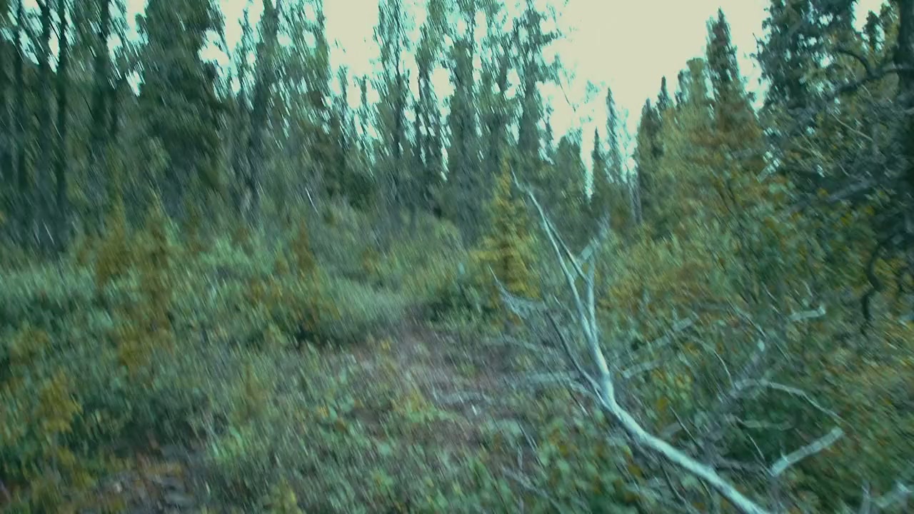 The Road to Patagonia screenshot 1