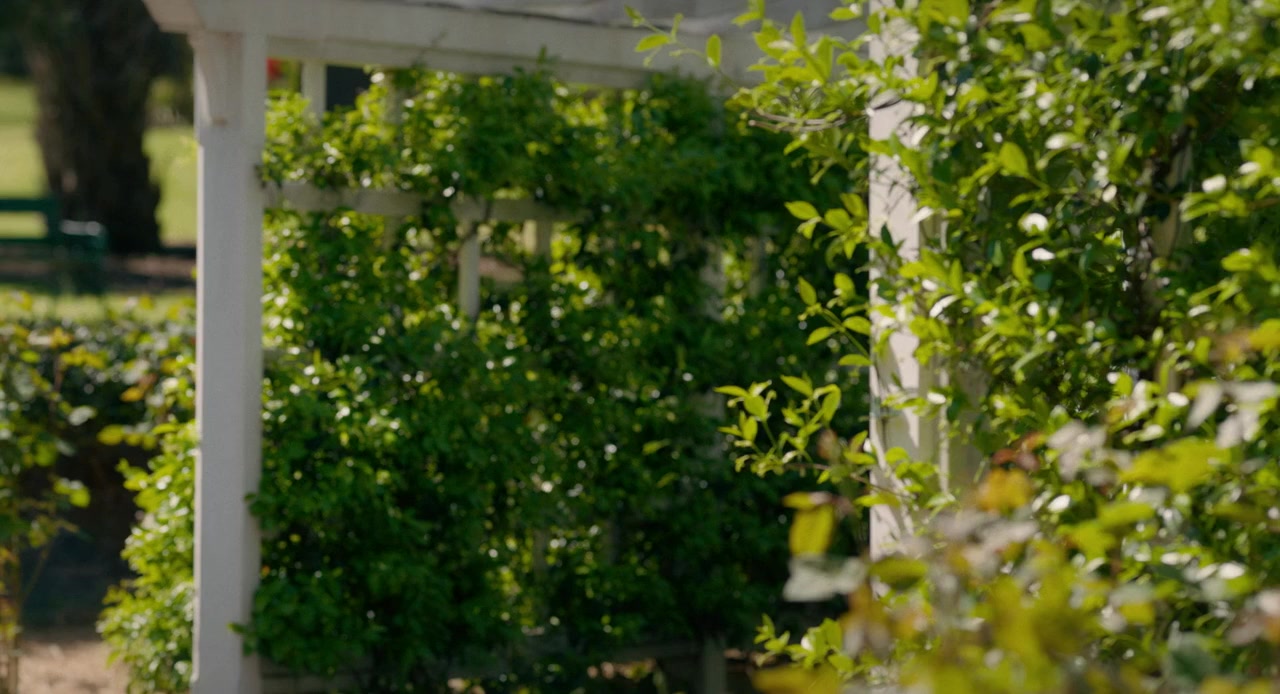 The Room Below screenshot 2
