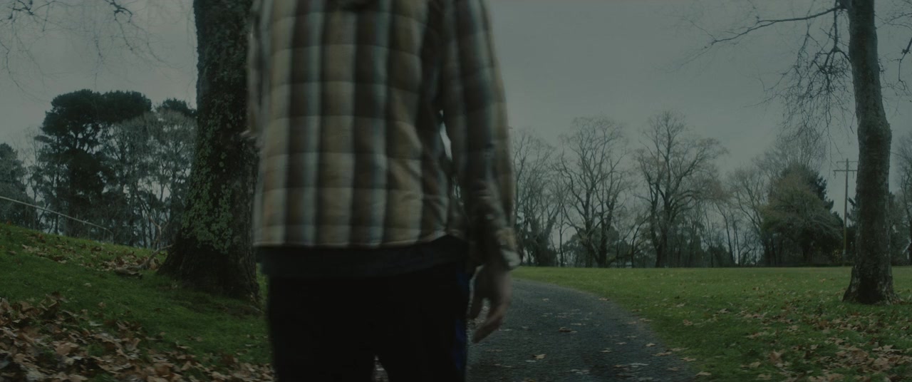 The Rooster screenshot 1