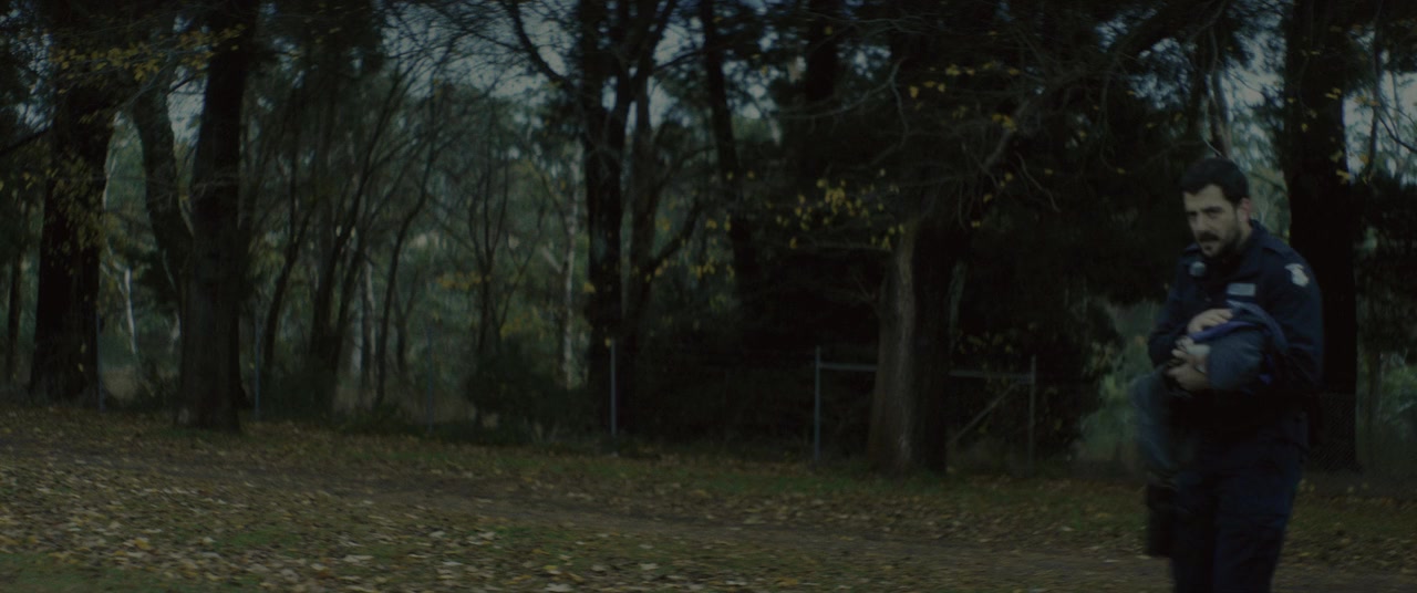 The Rooster screenshot 2