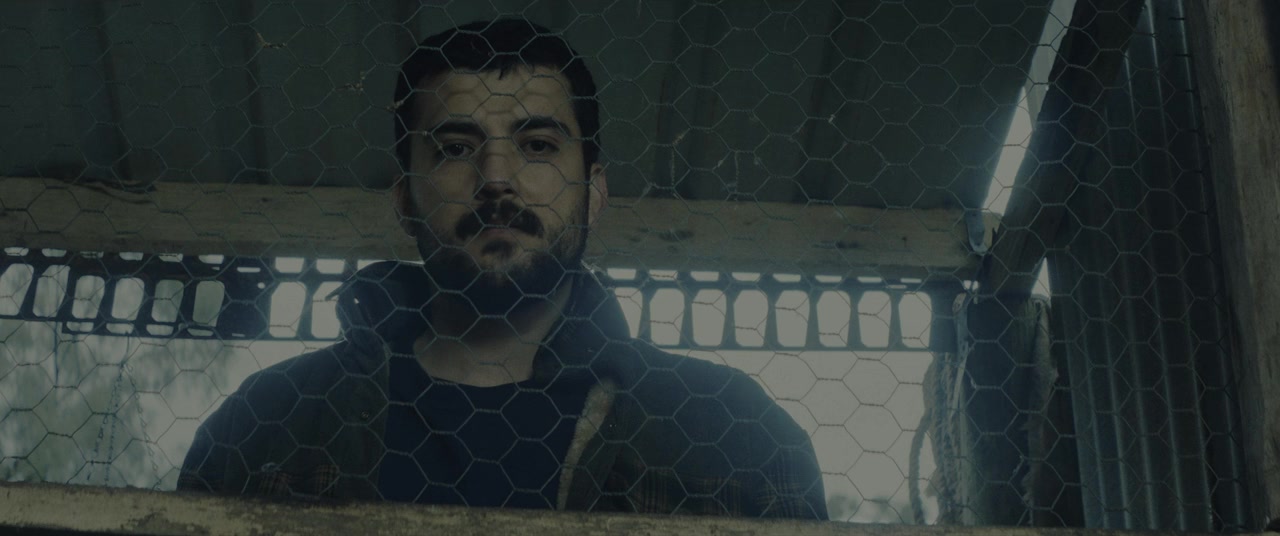 The Rooster screenshot 3