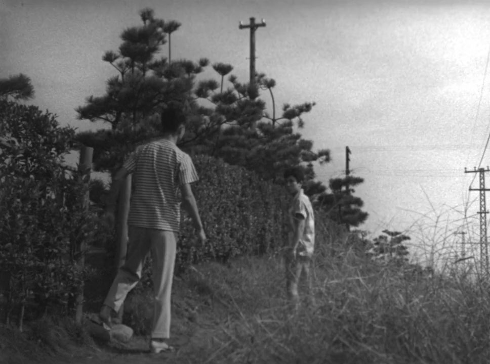 Taiyô to bara screenshot 2