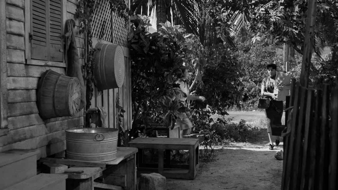 The Rose Tattoo screenshot 2