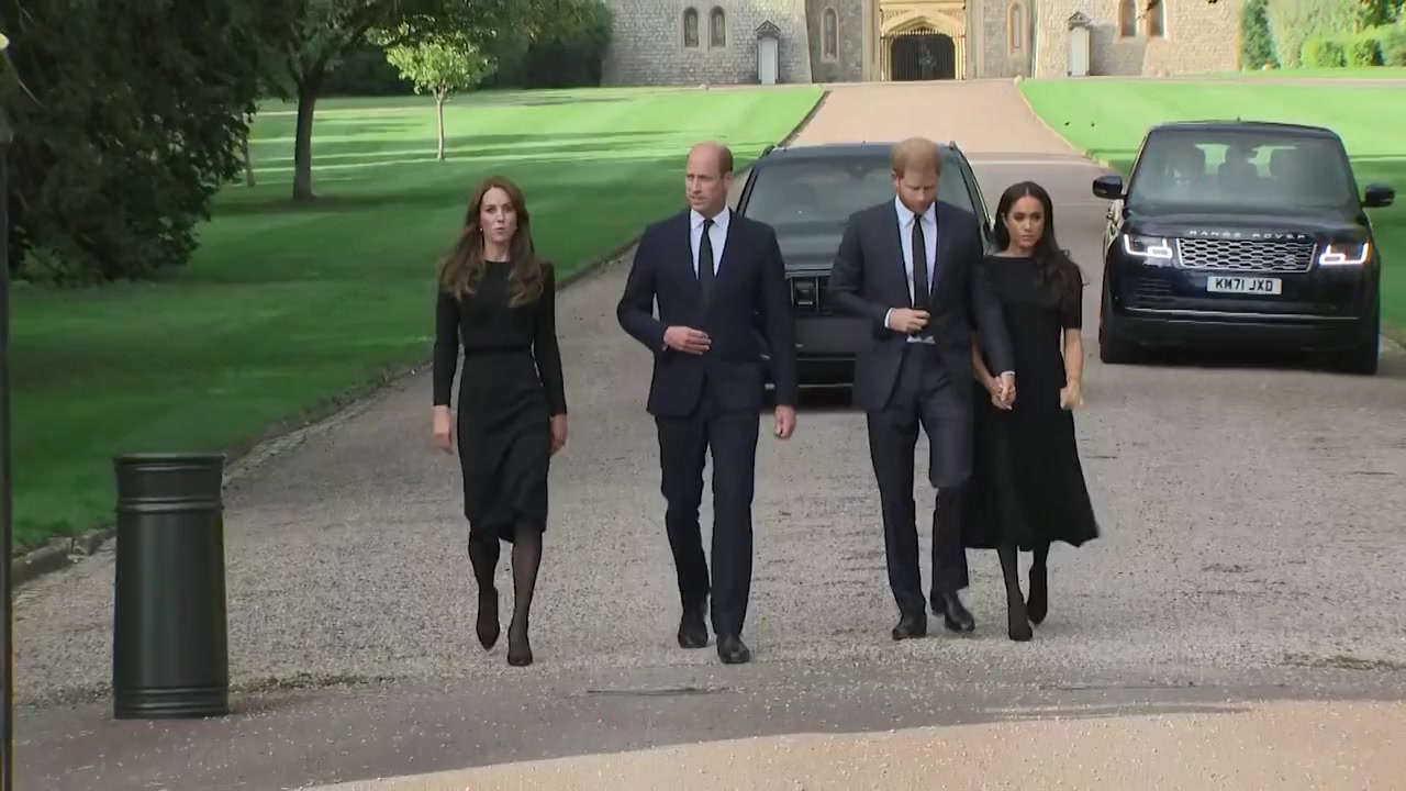 The Royal Four: Stronger Together screenshot 2