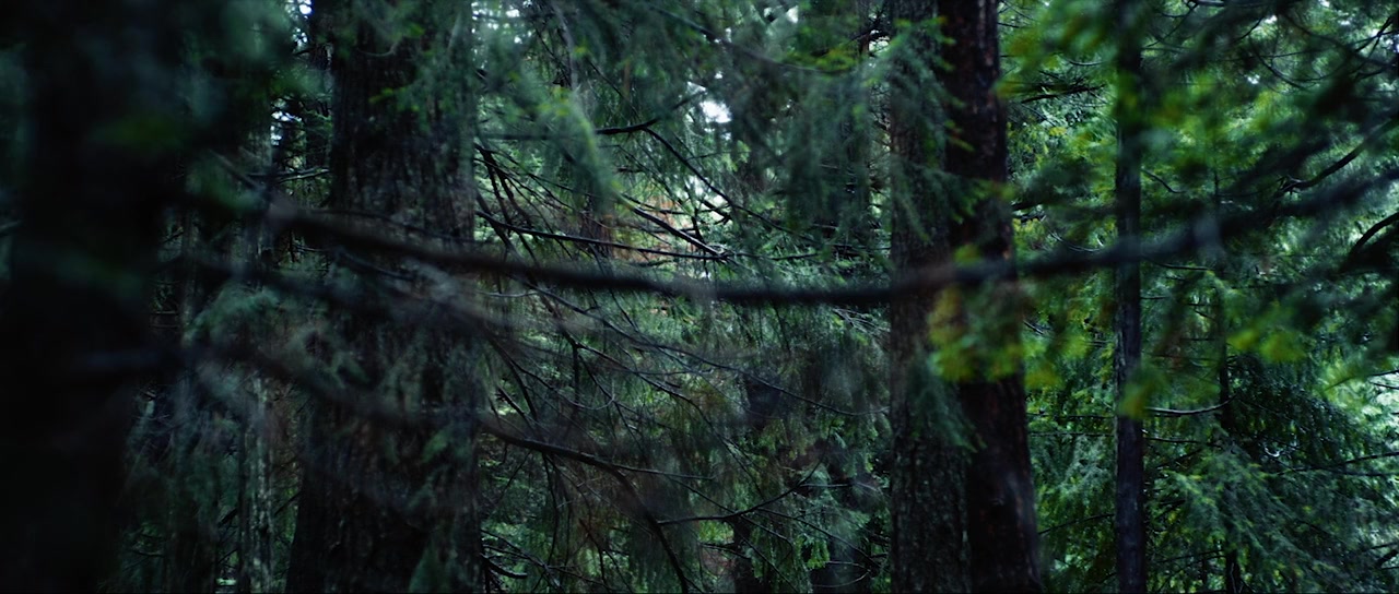 The Stalking Fields screenshot 1