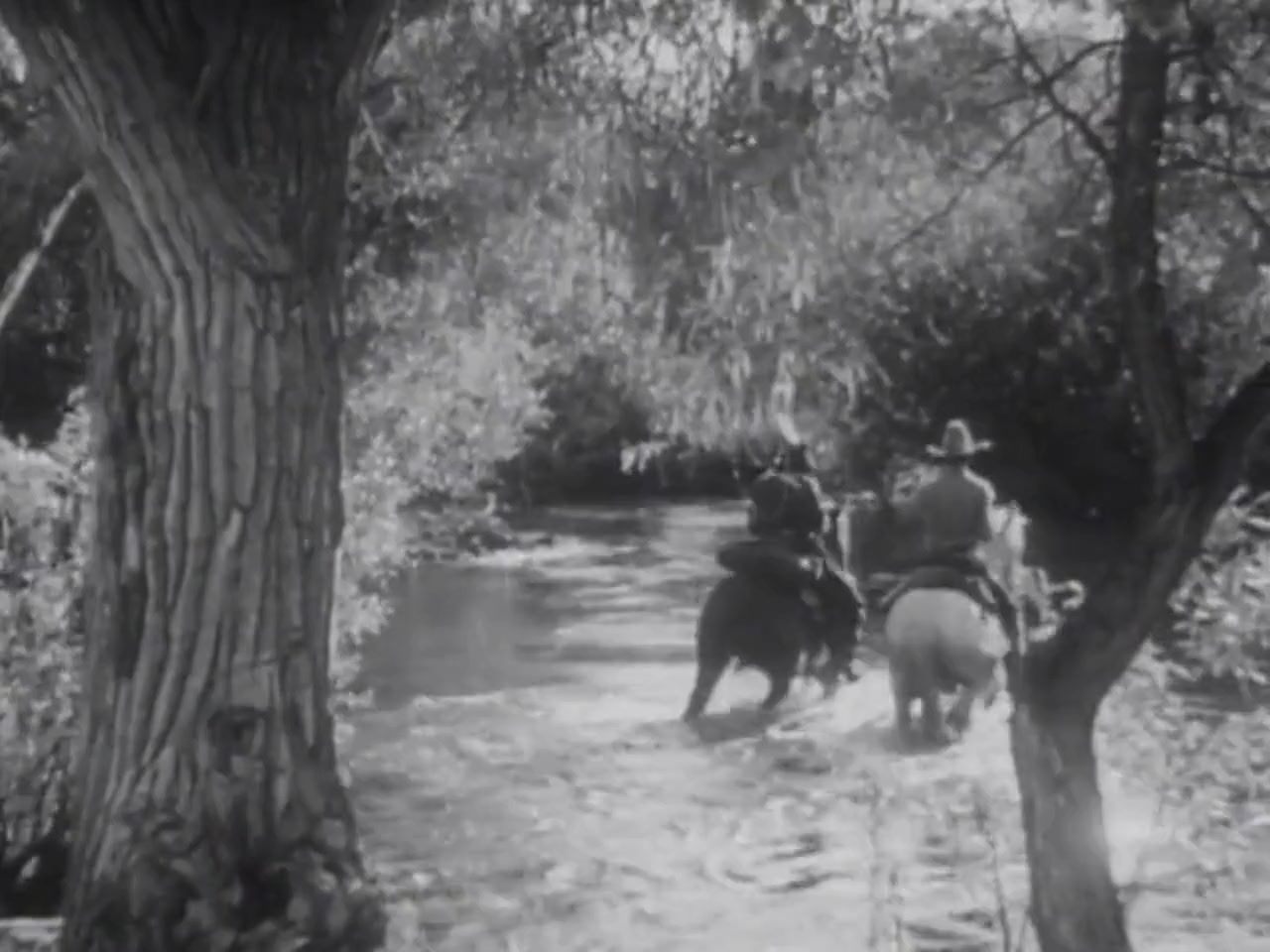 The Star Packer screenshot 1