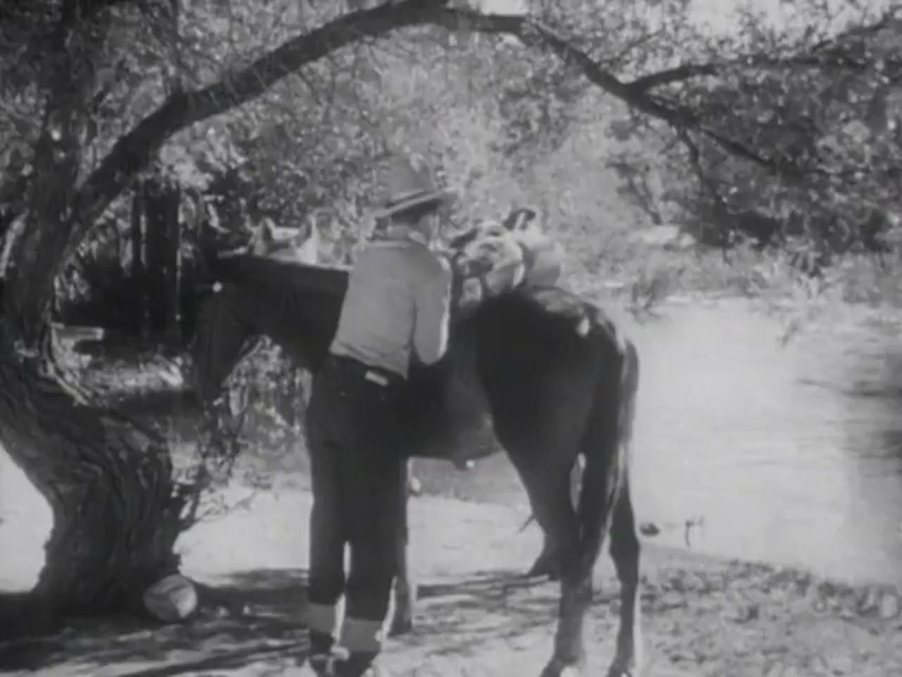 The Star Packer screenshot 3
