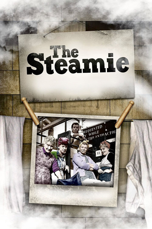 The Steamie (1988) poster