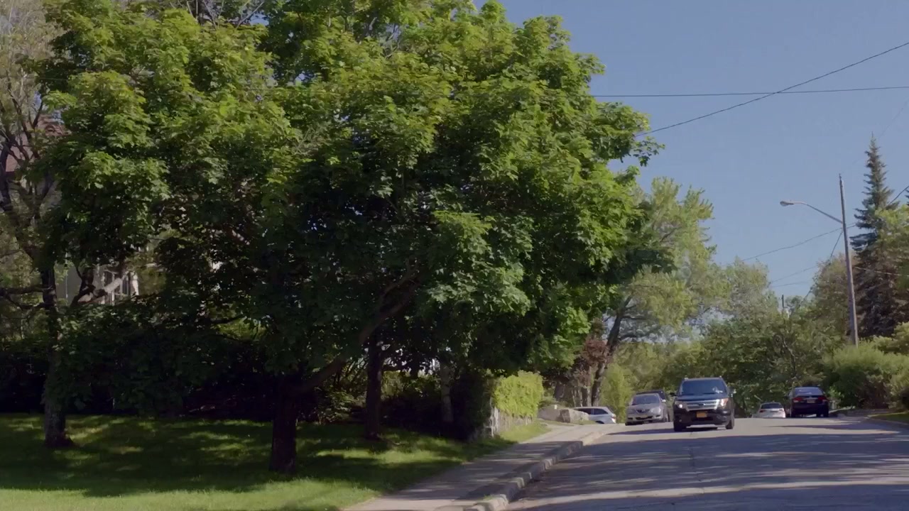 The Stepchild screenshot 1