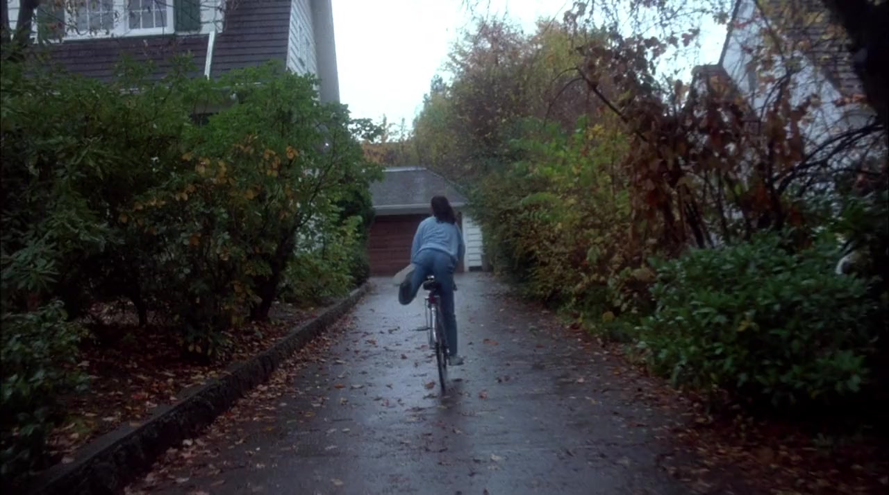 The Stepfather screenshot 3