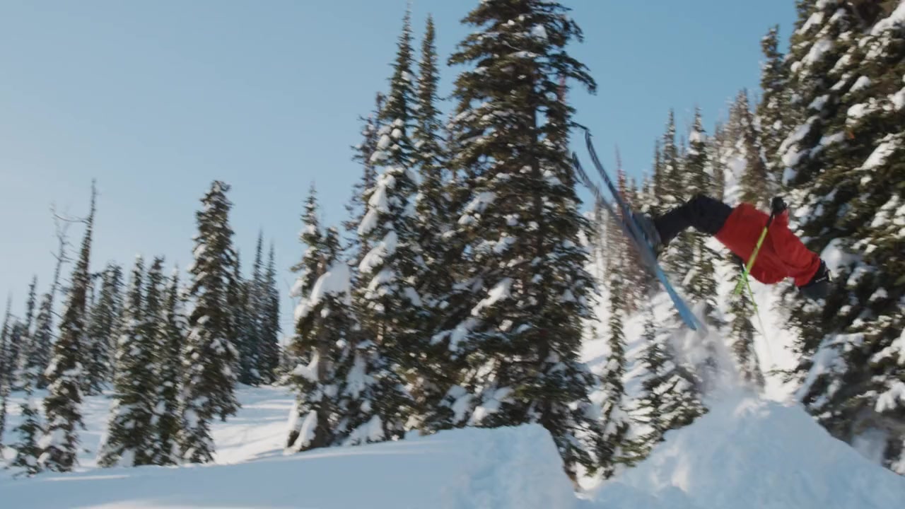 The Stomping Grounds screenshot 3