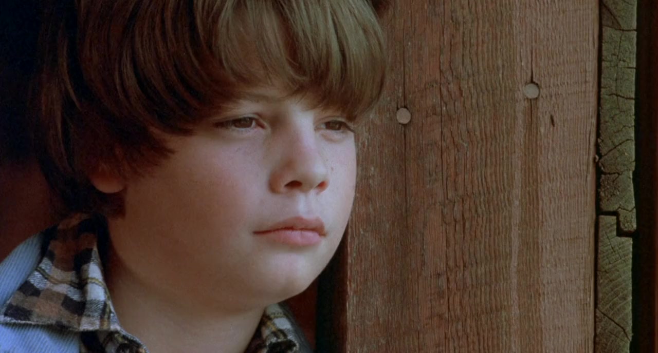 The Stone Boy screenshot 1