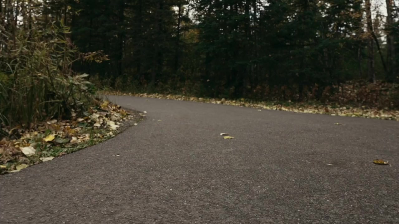 The Story of Art in Alaska screenshot 2