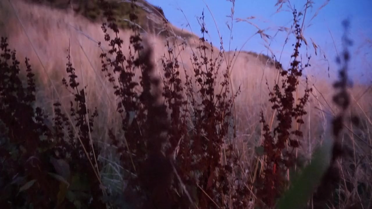 The Story of Looking screenshot 2
